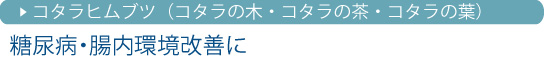 �R�^���q���u�c�͌��t�T���T���ɁI�������C�ɂȂ���ɁB