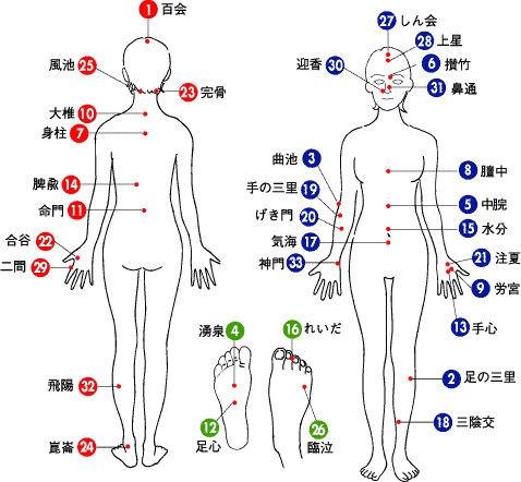 つぼについて 健康豆知識